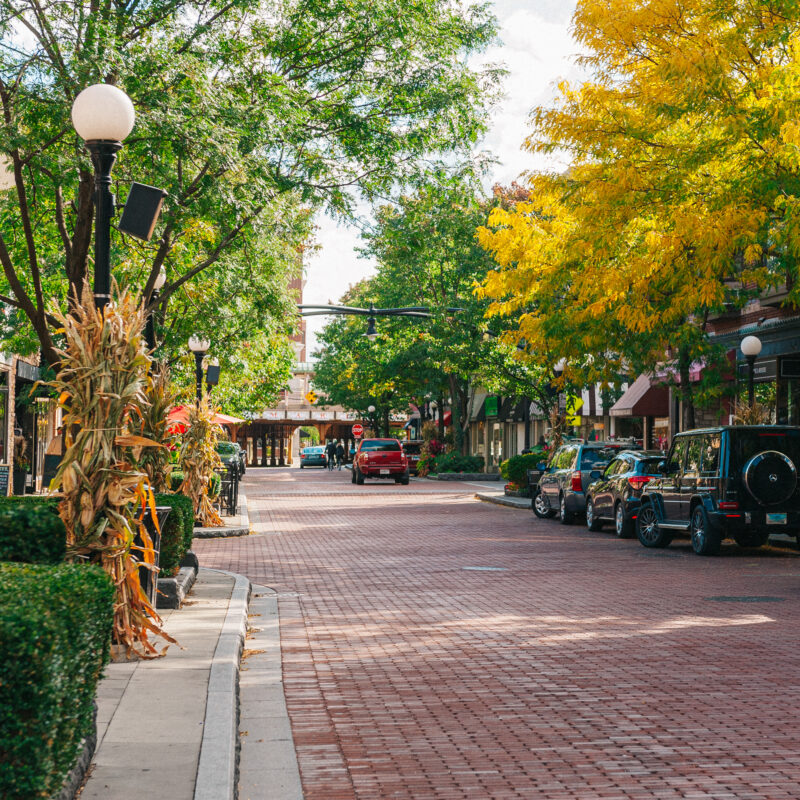 Home Downtown Oak Park